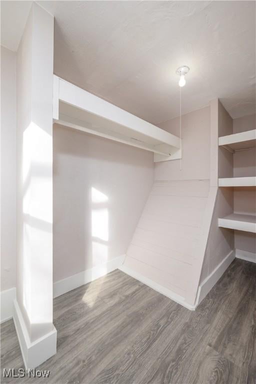 spacious closet with dark wood-type flooring