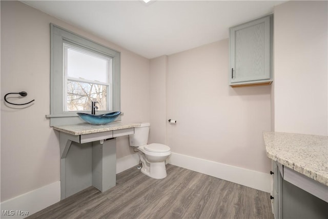 bathroom featuring wood-type flooring, toilet, and sink