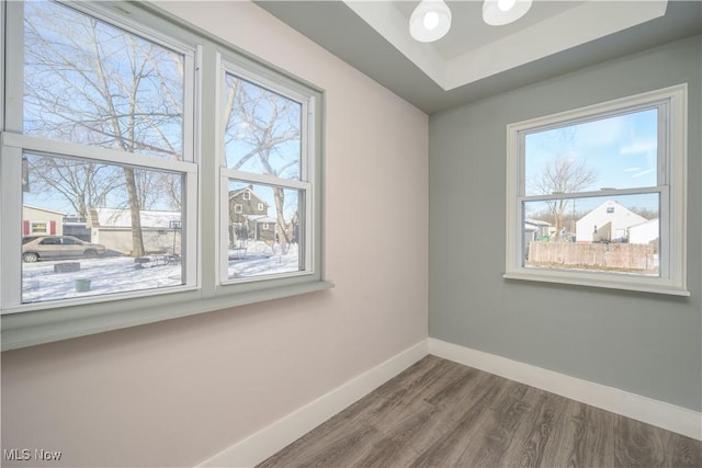 unfurnished room featuring wood-type flooring