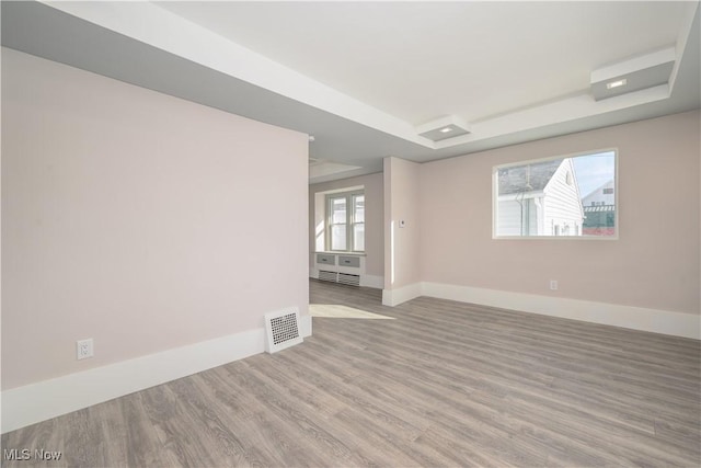 empty room with plenty of natural light, a tray ceiling, and light hardwood / wood-style flooring