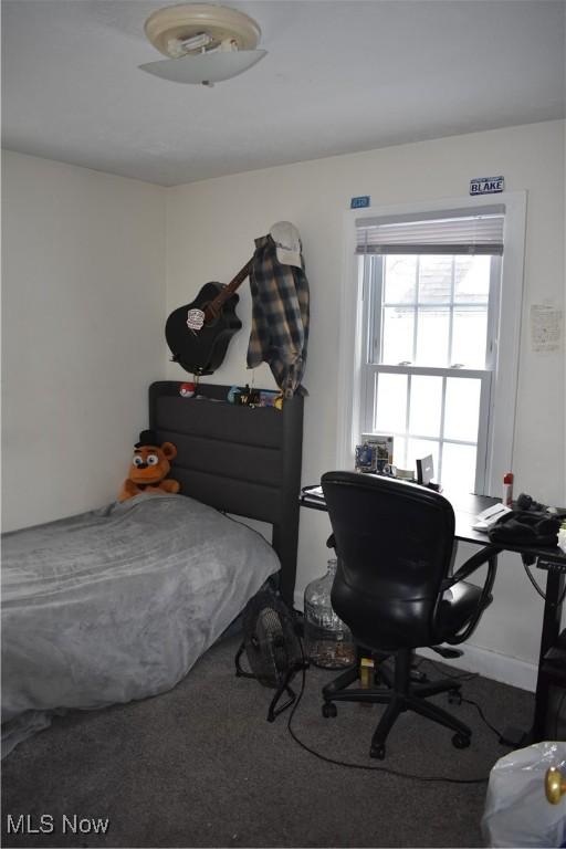 bedroom featuring carpet