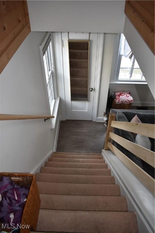 stairway with lofted ceiling and wood finished floors