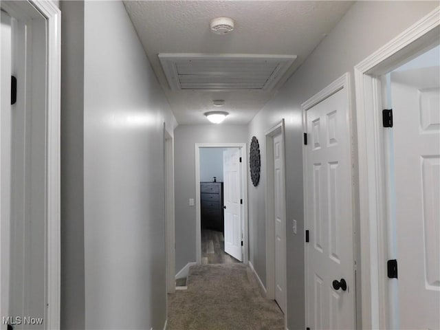 hallway featuring carpet floors and a textured ceiling