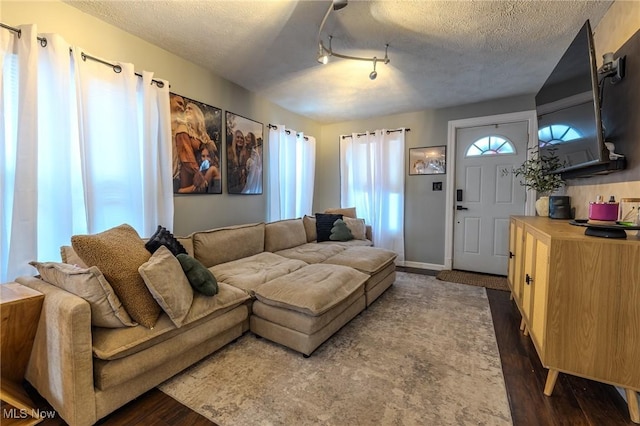 living room featuring dark hardwood / wood-style flooring and a textured ceiling