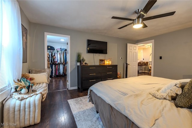 bedroom with a closet, dark wood-type flooring, ceiling fan, and a spacious closet