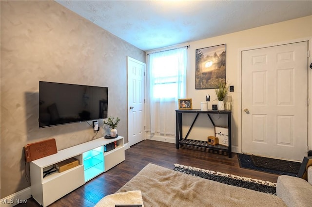 living room with dark hardwood / wood-style floors