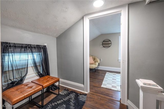 interior space with vaulted ceiling, dark hardwood / wood-style floors, and a textured ceiling