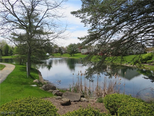 4539 Saint James Cir NW, Canton, OH 44708 - view of water feature