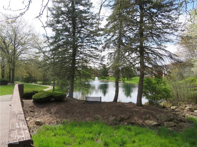 4539 Saint James Cir NW, Canton, OH 44708 - view of water feature