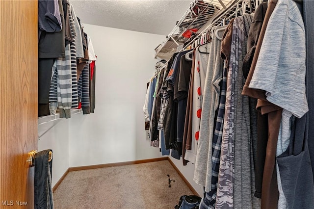 walk in closet with carpet floors