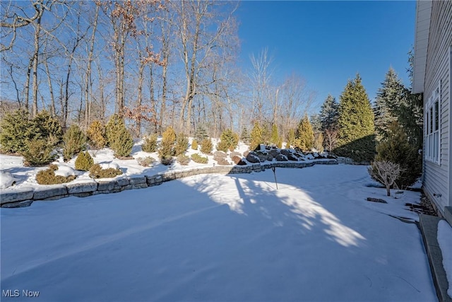 view of yard layered in snow