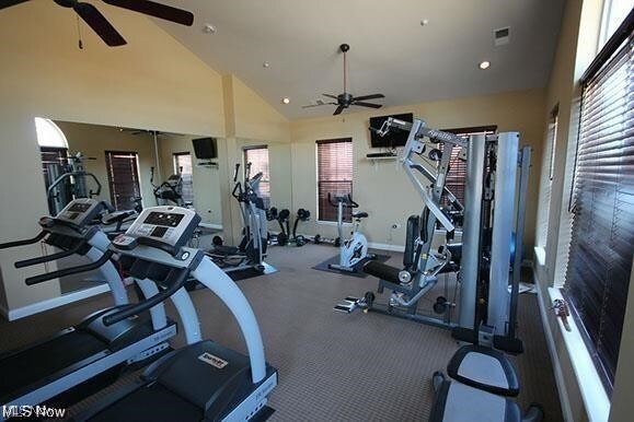 workout area with ceiling fan, high vaulted ceiling, and a healthy amount of sunlight