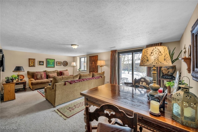 carpeted living room with a textured ceiling