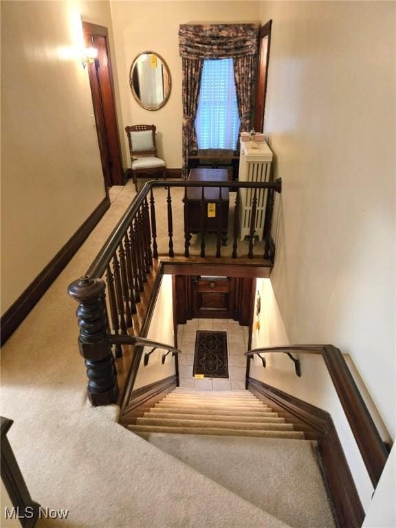 staircase with carpet flooring