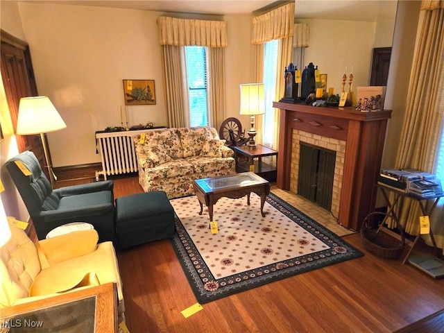 living room featuring a fireplace and wood-type flooring