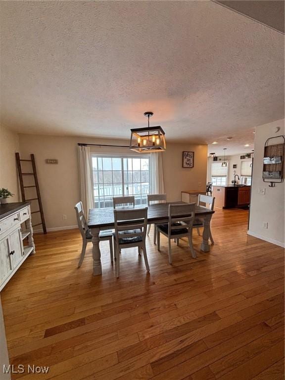 dining room with hardwood / wood-style flooring, a wealth of natural light, and a textured ceiling