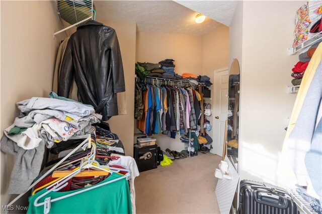 walk in closet with carpet flooring