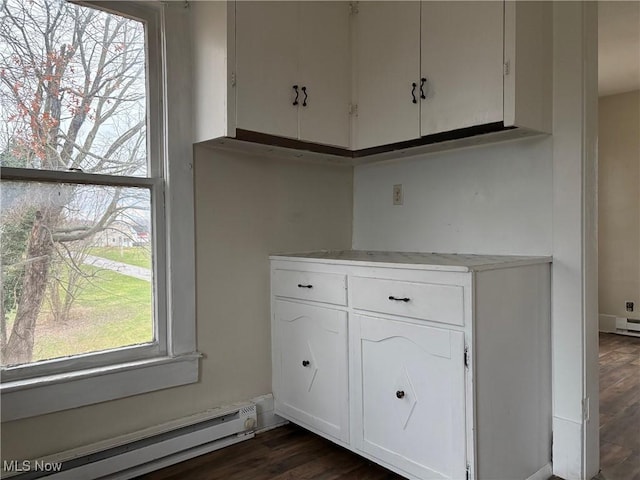 room details with wood-type flooring and baseboard heating