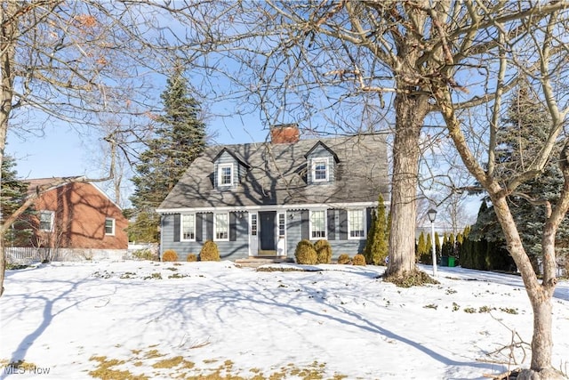 view of cape cod home