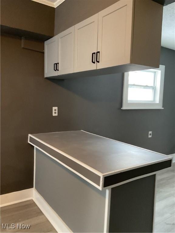 kitchen with white cabinetry and wood-type flooring