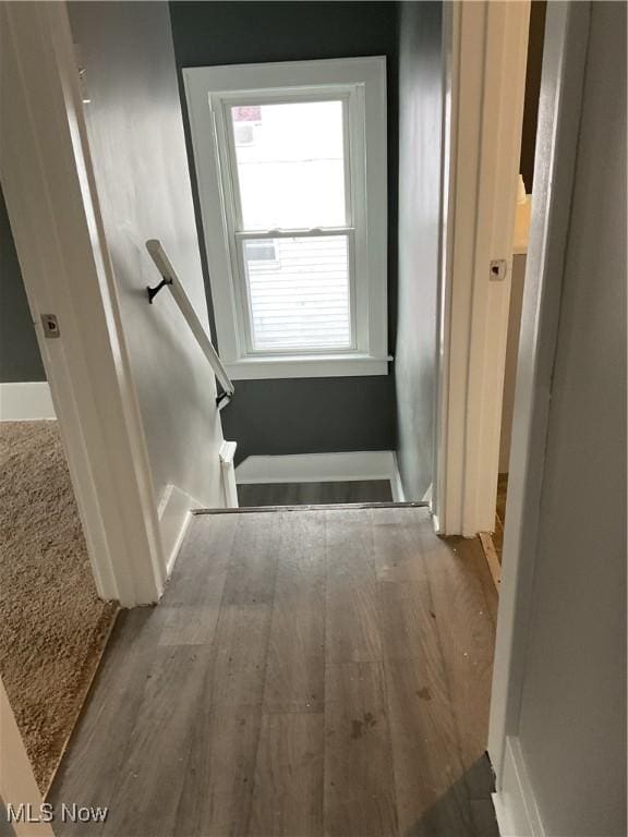 corridor with wood-type flooring