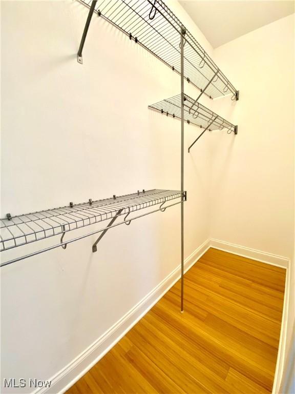 spacious closet featuring wood-type flooring