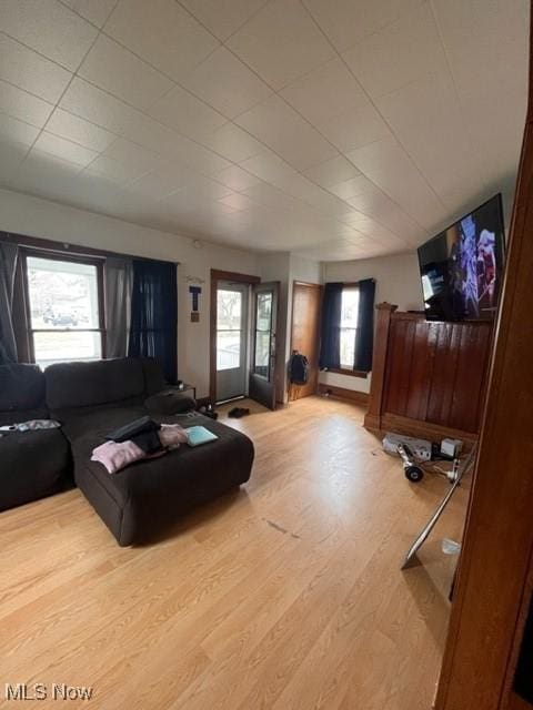 living room featuring wood-type flooring