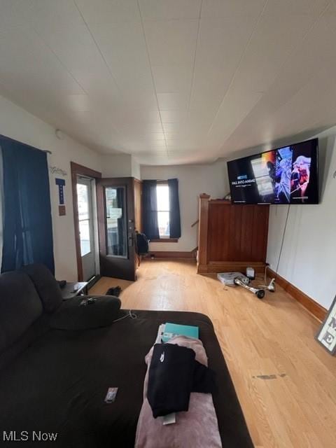 living room featuring wood-type flooring