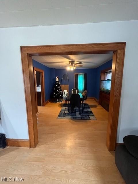 dining space with ceiling fan and light wood-type flooring