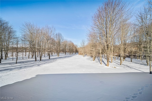 view of yard covered in snow