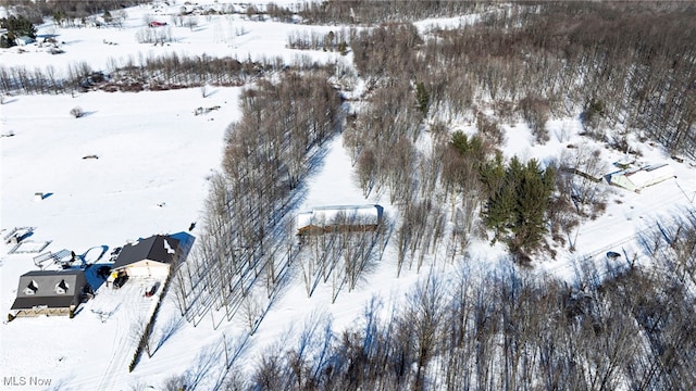 view of snowy aerial view