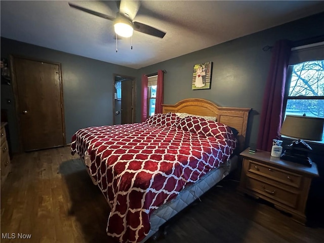 bedroom with multiple windows, ceiling fan, and dark hardwood / wood-style flooring