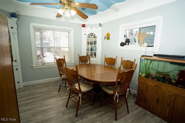 dining room with wood-type flooring and ceiling fan