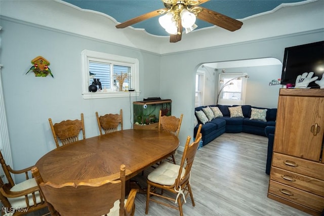 dining room featuring ceiling fan and light hardwood / wood-style flooring