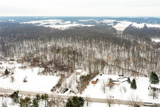 view of snowy aerial view