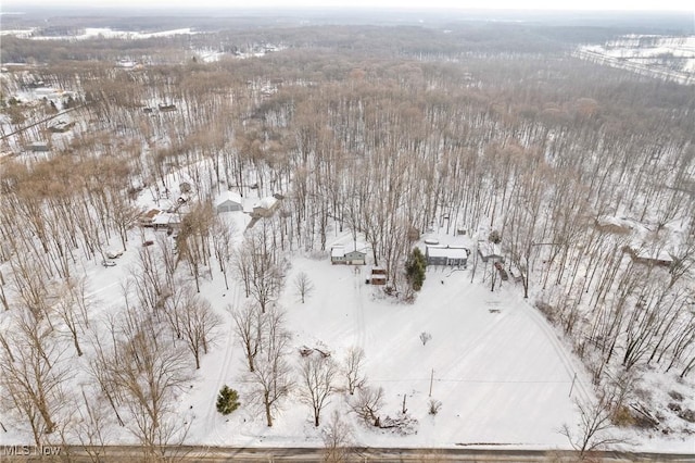 view of snowy aerial view