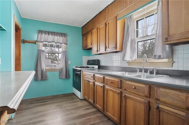 kitchen with wood-type flooring, sink, range with gas cooktop, and decorative backsplash