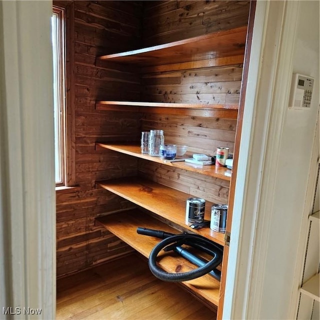 view of pantry