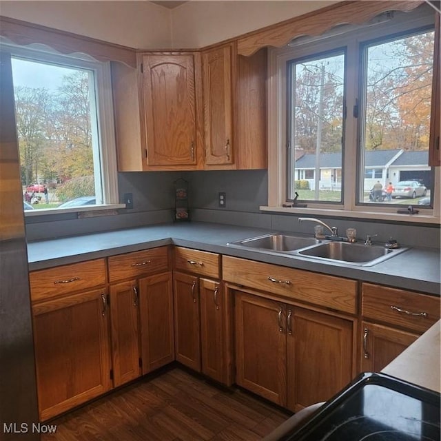 kitchen with dark hardwood / wood-style flooring and sink