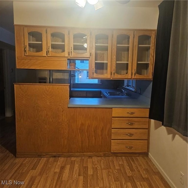 kitchen with wood-type flooring and sink