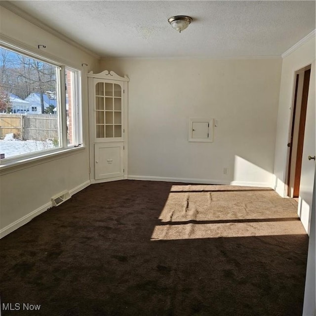 carpeted empty room featuring crown molding and a textured ceiling