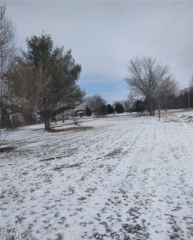 view of yard layered in snow