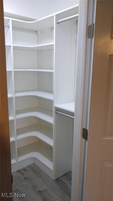 walk in closet featuring hardwood / wood-style floors