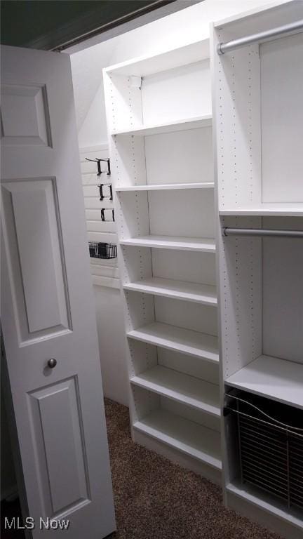 view of walk in closet