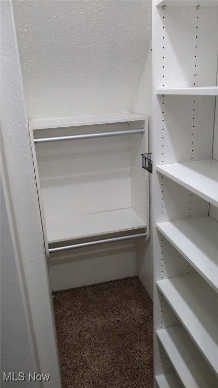 spacious closet featuring carpet