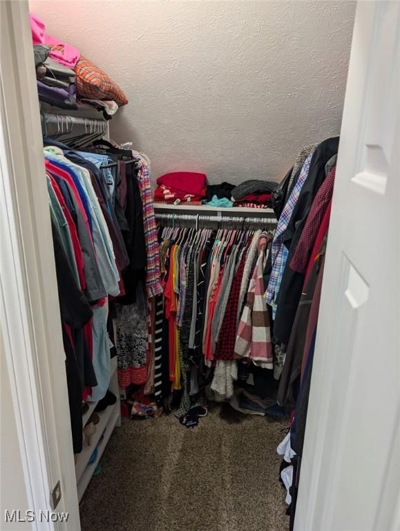 spacious closet with carpet