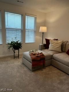 view of carpeted living room