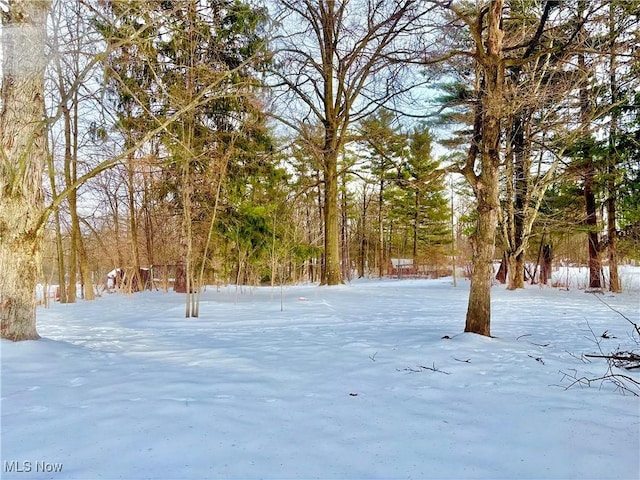 view of snowy yard