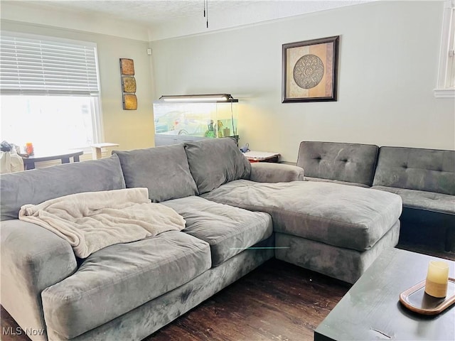 living room with dark hardwood / wood-style floors