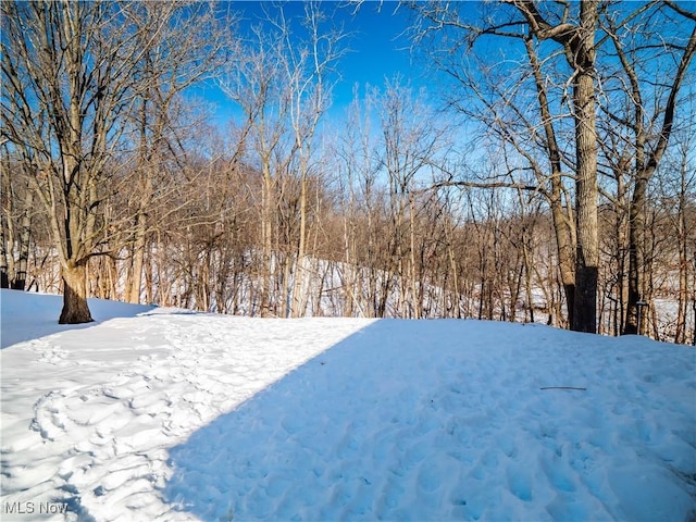 view of yard layered in snow